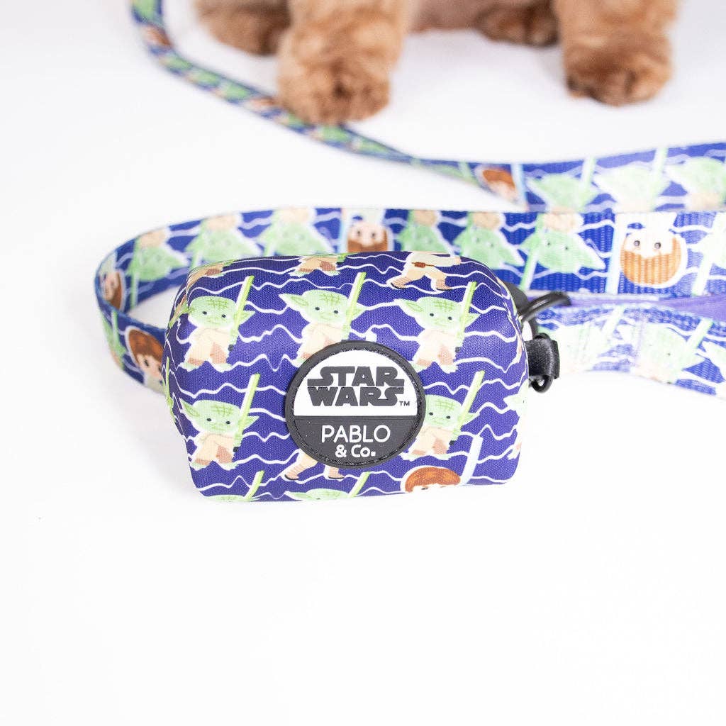 Luke Skywalker & Yoda Treat Bag Holocron Toy Store