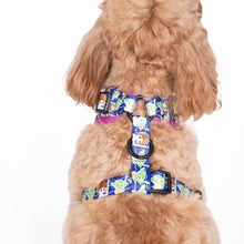 Luke Skywalker & Yoda: Adjustable Harness