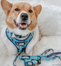 Dog Collar: The Mandalorian