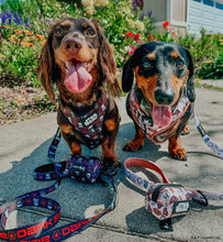 Dog Collar: The Dark Side