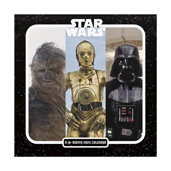 Calendar 2025 Saga Mini