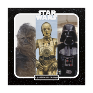 Calendar 2025 Saga Mini