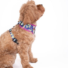 Luke Skywalker & Yoda: Adjustable Harness