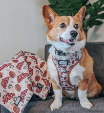 Dog Collar: The Rebel Alliance