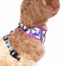 Luke Skywalker & Yoda: Adjustable Harness