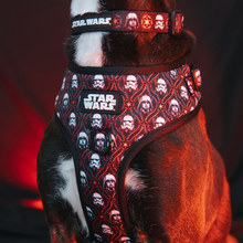 Dog Collar: The Dark Side