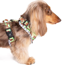 Chewbacca & Ewoks: Adjustable Harness