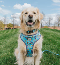 Dog Collar: The Mandalorian