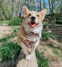 Dog Collar: The Rebel Alliance