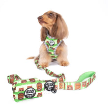 Chewbacca & Ewoks: Treat Bag