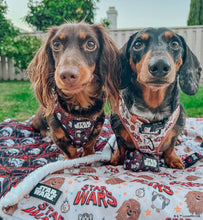 Dog Collar: The Rebel Alliance