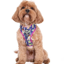 Luke Skywalker & Yoda: Adjustable Harness