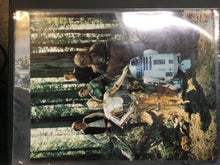 Vintage Photos
