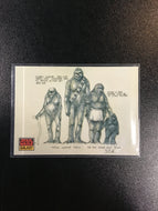 1993 Topps SW Galaxy Card #19 Typical Wookie Family