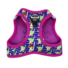 Luke Skywalker & Yoda: Step In Cat Harness