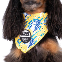 C-3PO & R2-D2: Dog Bandana