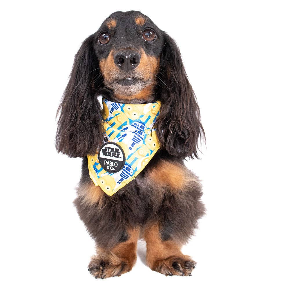 C-3PO & R2-D2: Dog Bandana