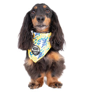 C-3PO & R2-D2: Dog Bandana