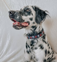 Dog Collar: The Dark Side