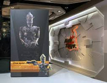 IG-11 TMS008 Hot Toys