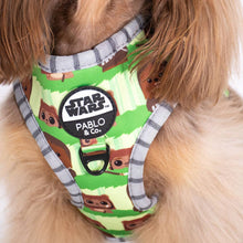Chewbacca & Ewoks: Adjustable Harness