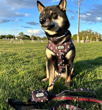 Dog Collar: The Dark Side