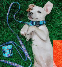 Dog Collar: The Mandalorian