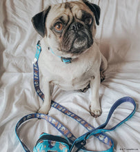 Dog Collar: The Mandalorian