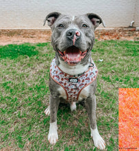 Dog Collar: The Rebel Alliance
