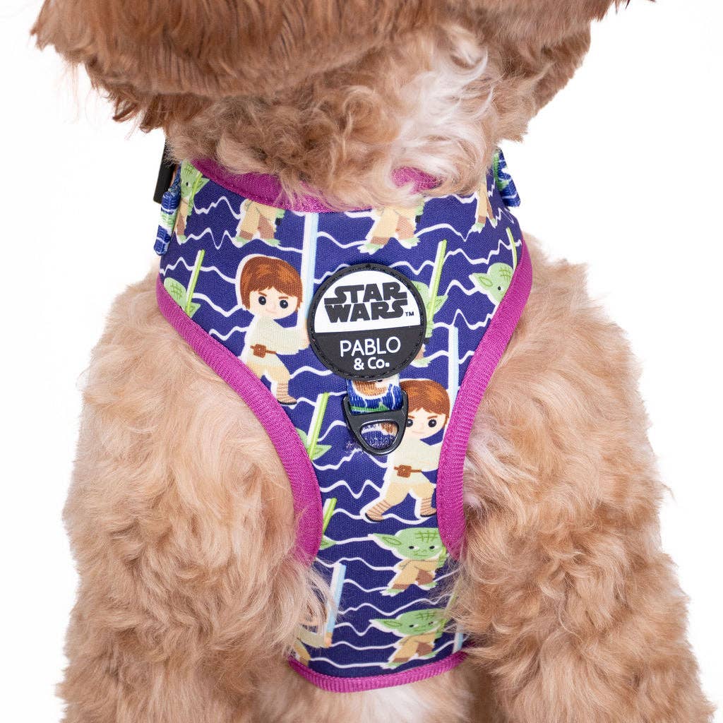 Luke Skywalker & Yoda: Adjustable Harness