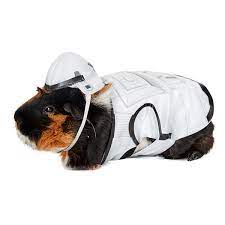 Pet Costume - Guinea Pig