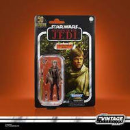 Luke Skywalker (Endor) VC198 TVC 50th Lucasfilm
